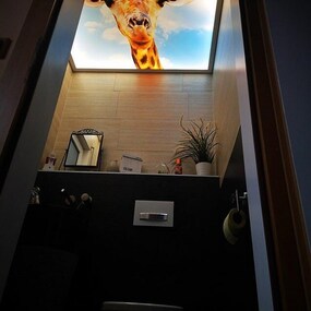 Eine Giraffe blickt durch eine Deckenbeleuchtung in einem modernen Badezimmer mit WC.